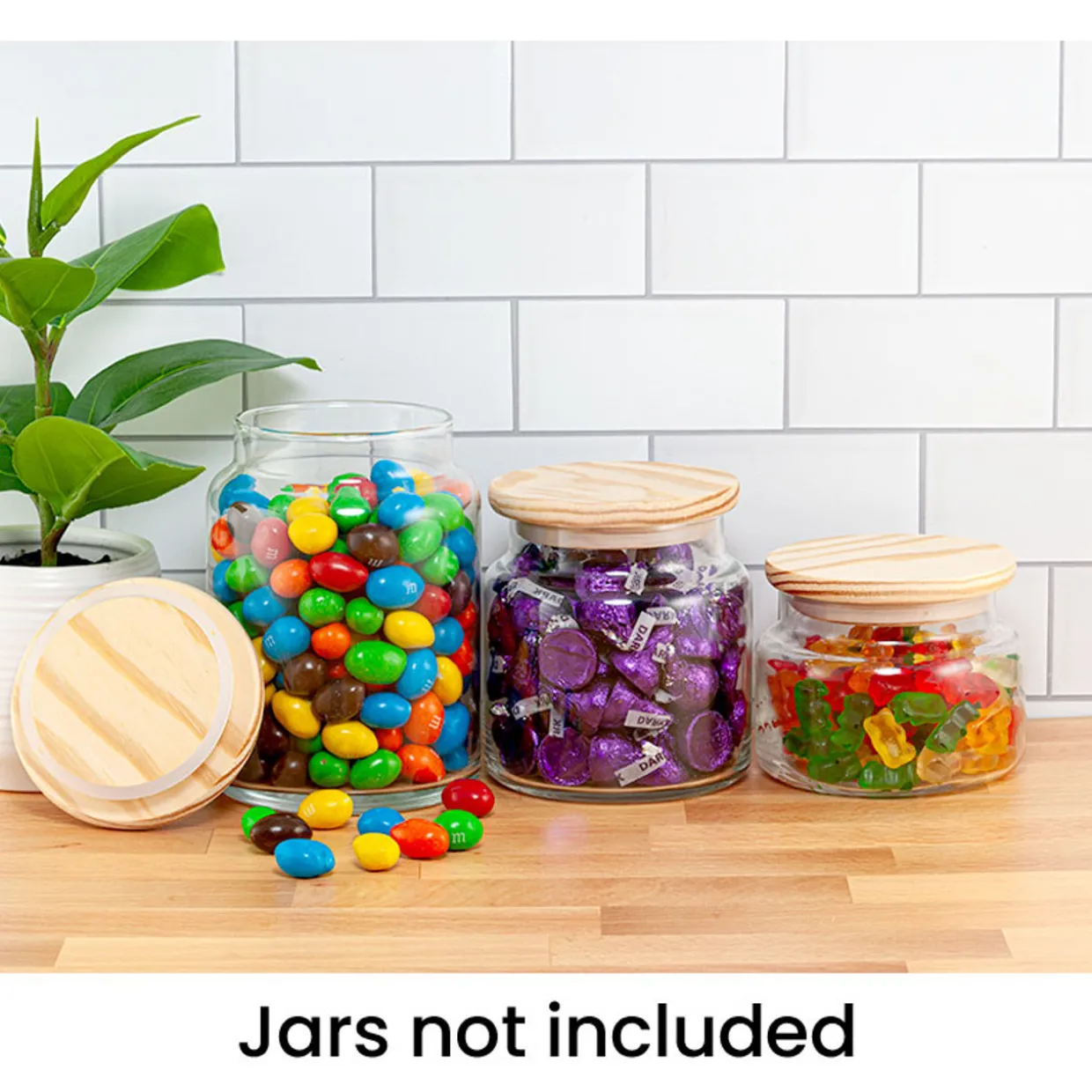 Harmony Pine Lid For Apothecary Jars | 12 Pack